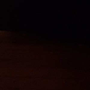 Meet your Posher, Beezy